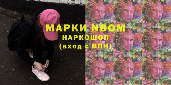 прущие грибы Алзамай