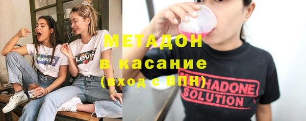прущие грибы Алзамай